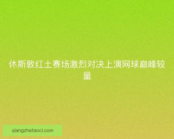 休斯敦红土赛场激烈对决上演网球巅峰较量
