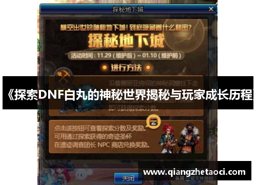 《探索DNF白丸的神秘世界揭秘与玩家成长历程》
